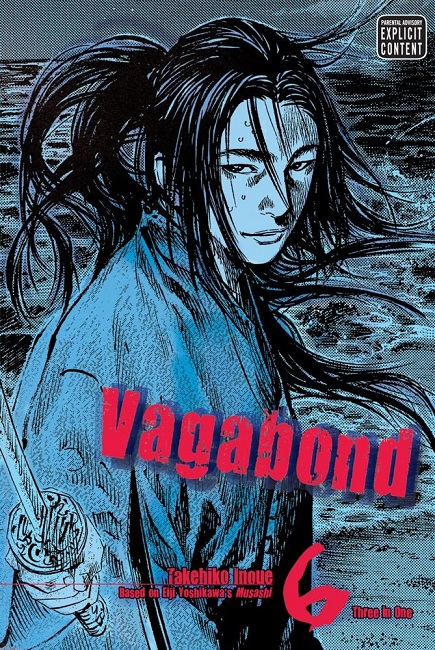 Vagabond Vizbig Edition Volume 6