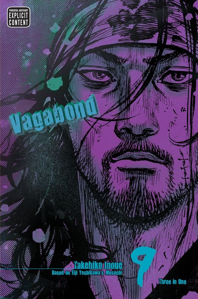 Vagabond Vizbig Edition Volume 9